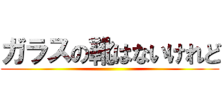 ガラスの靴はないけれど ()