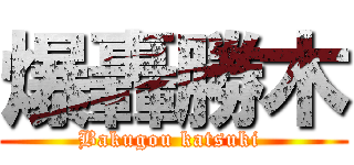 爆轟勝木 (Bakugou katsuki )