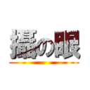 攝の眼 ()