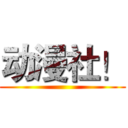 动漫社！ ()