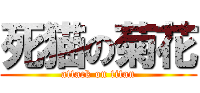 死猫の菊花 (attack on titan)