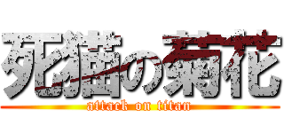 死猫の菊花 (attack on titan)