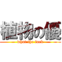 植物の優 (what the fuck)