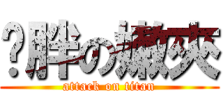 憨胖の嫩夾 (attack on titan)