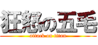 狂怒の五毛 (attack on titan)