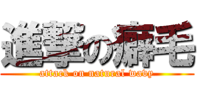 進撃の癖毛 (attack on natural wavy)