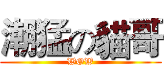 潮猛の貓哥 (WOW)