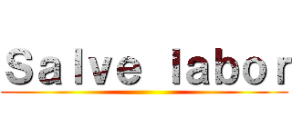 Ｓａｌｖｅ ｌａｂｏｒ ()
