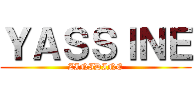 ＹＡＳＳＩＮＥ (ZINIDINE)
