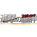 進撃の腫胖 (attack on fat guy)