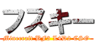 フスキー (Minecraft BF3 L4D2 CSO)
