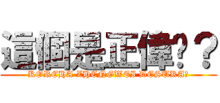 這個是正偉嗎？ (KOREHA ZHENGWEI DESUKA?)