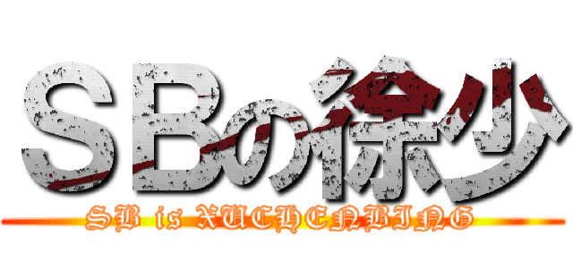 ＳＢの徐少 (SB is XUCHENBING)