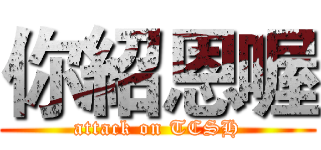 你紹恩喔 (attack on TCSH)