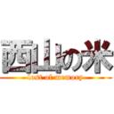 西山の米 (lost of memory)