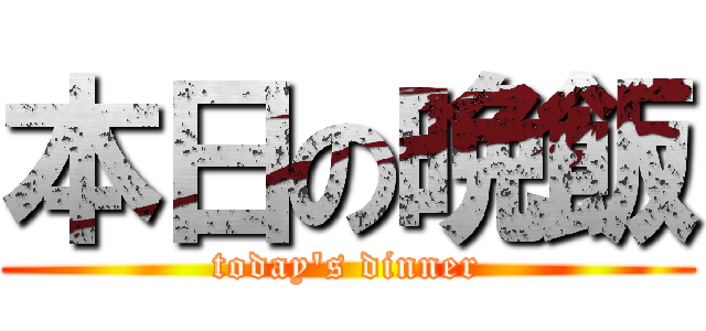 本日の晩飯 (today's dinner)