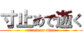 寸止めで逝く (attack on titan)