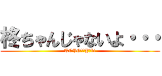 柊ちゃんじゃないよ・・・ (TOJO　　Yūki)