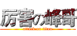 厉害の峰哥 (attack on titan)