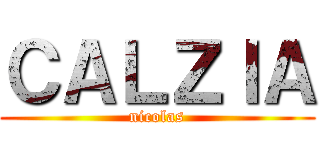 ＣＡＬＺＩＡ (nicolas)