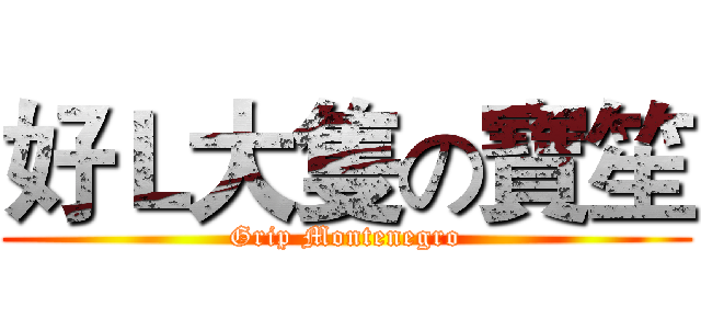 好Ｌ大隻の寶笙 (Grip Montenegro)