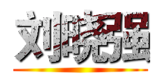 刘晓强 ()