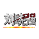 刘晓强 ()