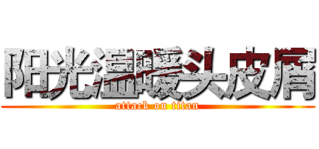 阳光温暖头皮屑 (attack on titan)