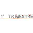 １° ＴＲＩＭＥＳＴＲＥ (Instituto David)