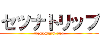 セツナトリップ (momentary trip)