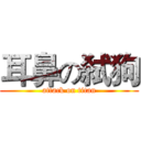 耳鼻の弑狗 (attack on titan)