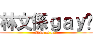 林文係ｇａｙ佬 (King of gay)