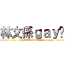林文係ｇａｙ佬 (King of gay)