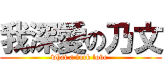 我深愛の乃文 (what a fuck love )