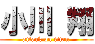 小川 翔 (attack on titan)