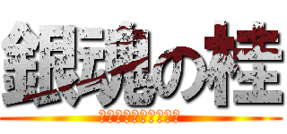 銀魂の桂 (ヅラではない！桂だ。)