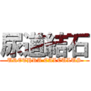 尿道結石 (URETHRA CALCULUS)