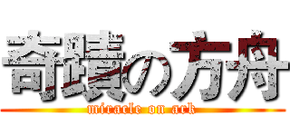 奇蹟の方舟 (miracle on ark)