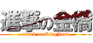 進撃の金橋 (attack on KingJunk)