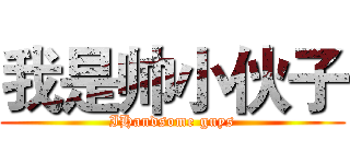 我是帅小伙子 (IHandsome guys)