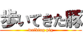 歩いてきた豚 (walking pig)