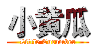 小黄瓜 (Little Cucumber)