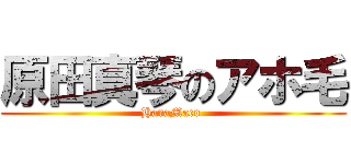 原田真琴のアホ毛 (HaraMaco )