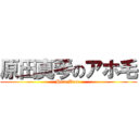 原田真琴のアホ毛 (HaraMaco )