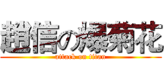 趙信の爆菊花 (attack on titan)