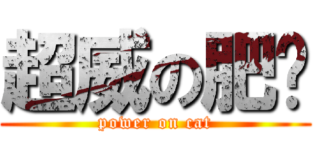 超威の肥貓 (power on cat)