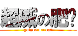 超威の肥貓 (power on cat)