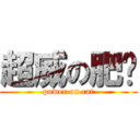 超威の肥貓 (power on cat)