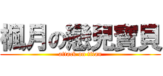 楓月の戀兒寶貝 (attack on titan)