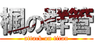 楓の群管 (attack on titan)